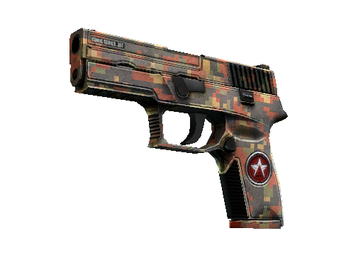 StatTrak™ P250 | Red Rock